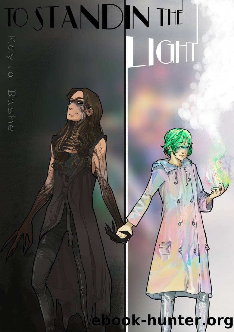 To Stand in the Light by Kayla Bashe