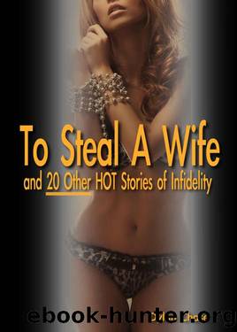 To Steal A Wife and 20 Other Hot Stories of Infidelity - 900 pages of rock hard cheating, watching, cuckolding and stealing by Dylan Chase
