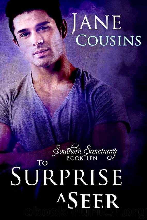 To Surprise A Seer (Southern Sanctuary - Book 10) by Jane Cousins