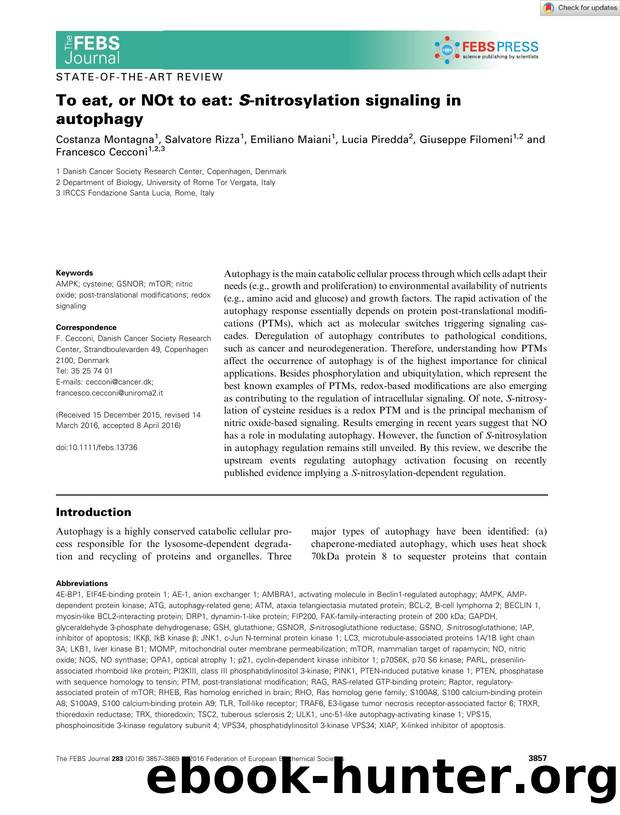 To eat, or NOt to eat: Sânitrosylation signaling in autophagy by Unknown