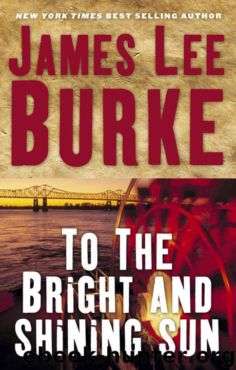 To the Bright and Shining Sun by James Lee Burke