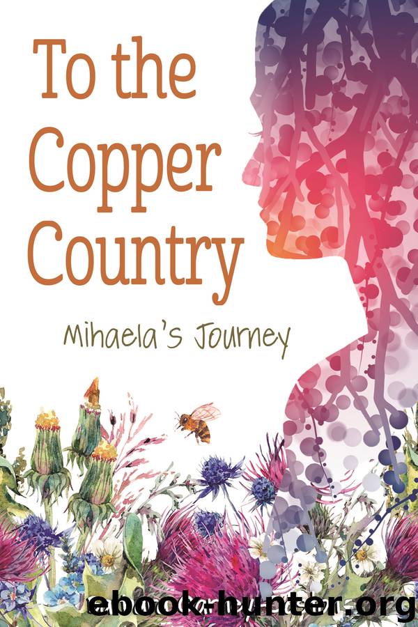 To the Copper Country by Barbara Carney-Coston