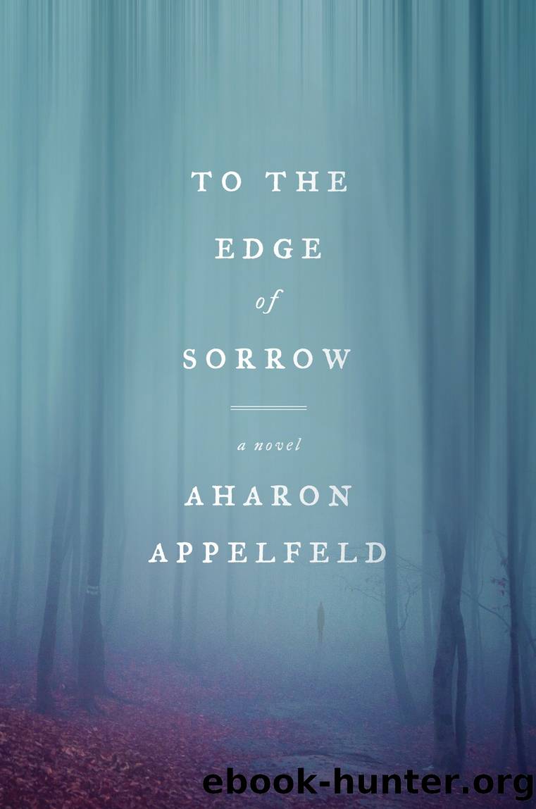 To the Edge of Sorrow by Aharon Appelfeld