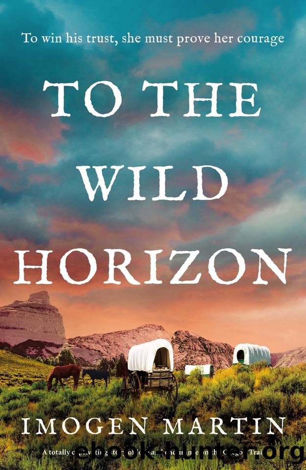 To the Wild Horizon: A totally captivating story of love and endurance on the Oregon Trail by Imogen Martin