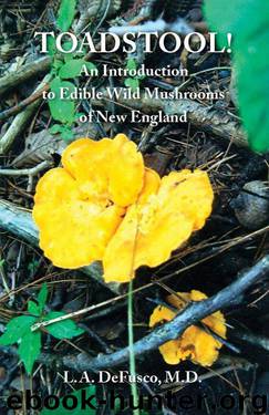 Toadstool!: An Introduction to Edible Wild Mushrooms of New England by Leonard Defusco