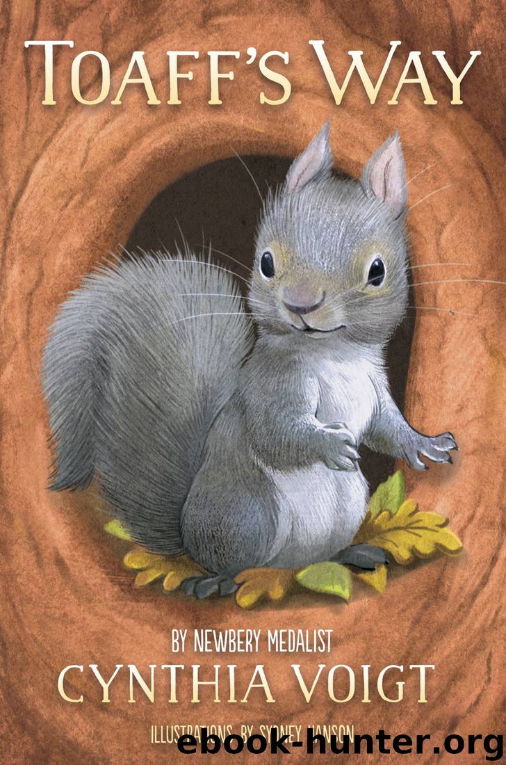 Toaff's Way by Cynthia Voigt