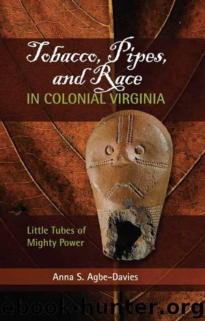 Tobacco, Pipes, and Race in Colonial Virginia: Little Tubes of Mighty Power by Agbe-Davies Anna S