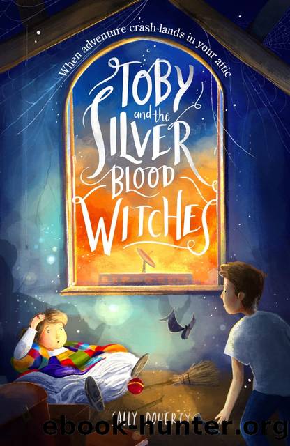 Toby and the Silver Blood Witches by Sally Doherty