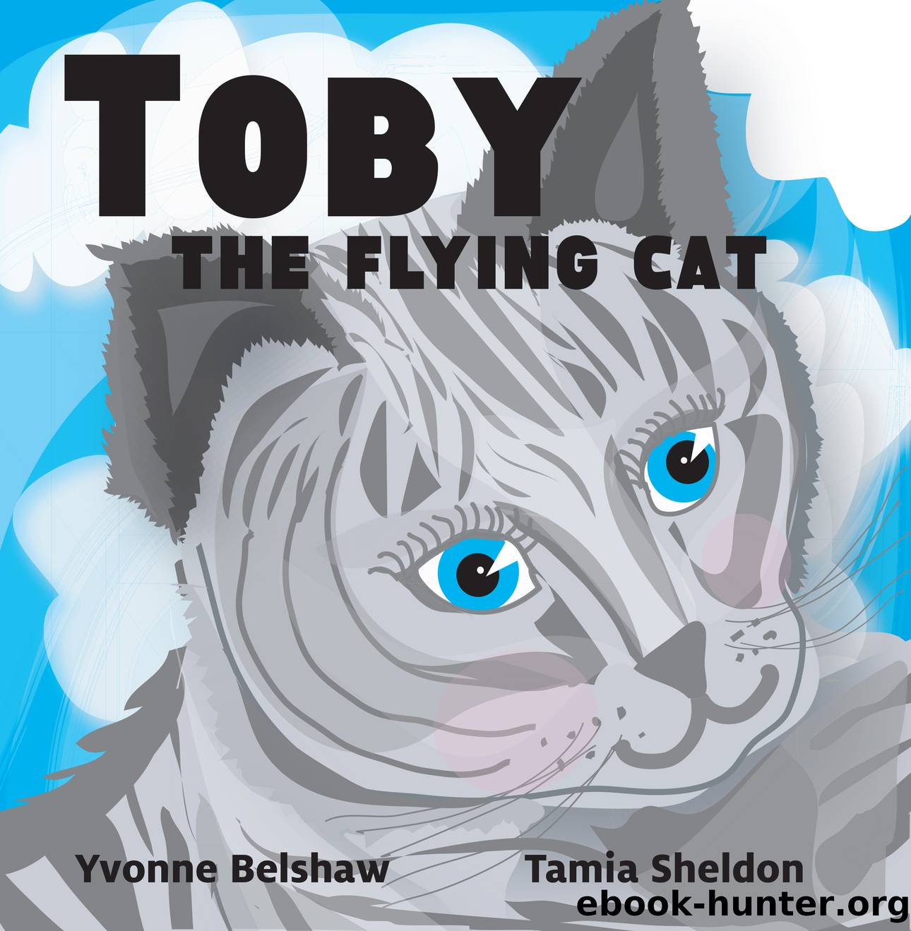 Toby the Flying Cat by Yvonne Belshaw