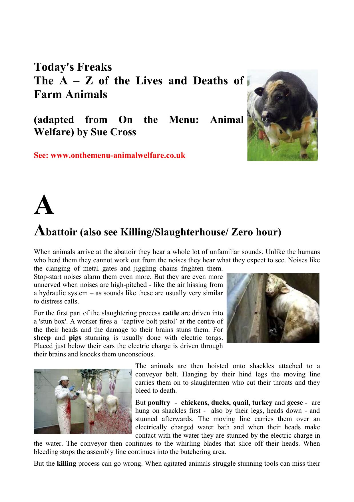 Today's Freaks An A to Z of How Farm Animals Live and Die by x y