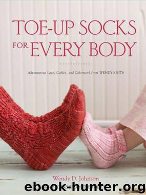 Toe-Up Socks for Every Body by Johnson Wendy D