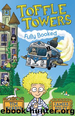 Toffle Towers 1 by Tim Harris