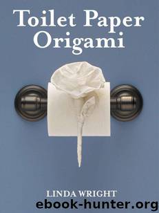 Toilet Paper Origami: Delight your Guests with Fancy Folds & Simple Surface Embellishments by Wright Linda