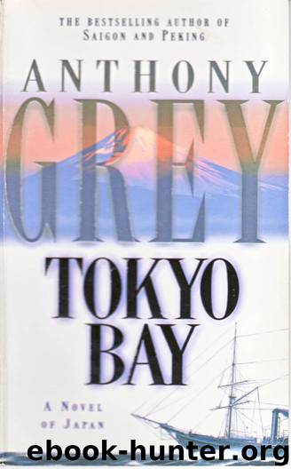 Tokyo Bay by Anthony Grey