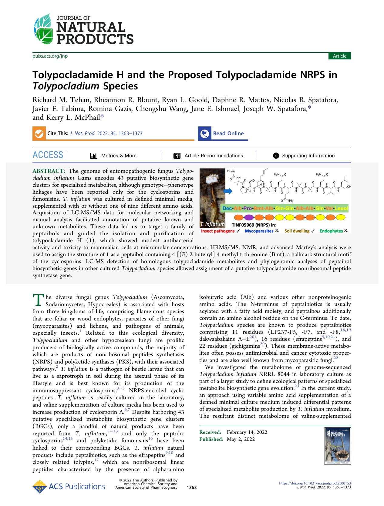 Tolypocladamide H and the Proposed Tolypocladamide NRPS in Tolypocladium Species by unknow