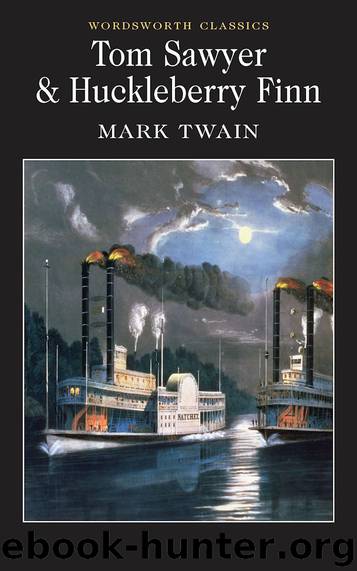 Tom Sawyer and Huckleberry Finn by Mark Twain
