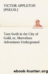 Tom Swift in the City of Gold, Or, Marvelous Adventures Underground by Victor Appleton