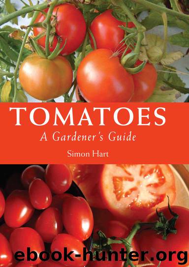 Tomatoes by Simon Hart