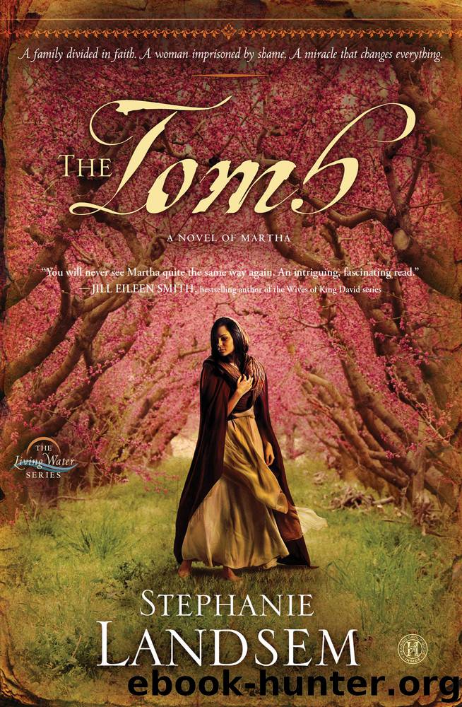 Tomb : A Novel of Martha (9781451689136) by Landsem Stephanie