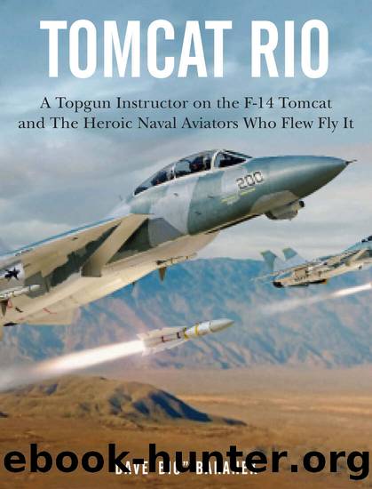 Tomcat Rio by Dave Baranek