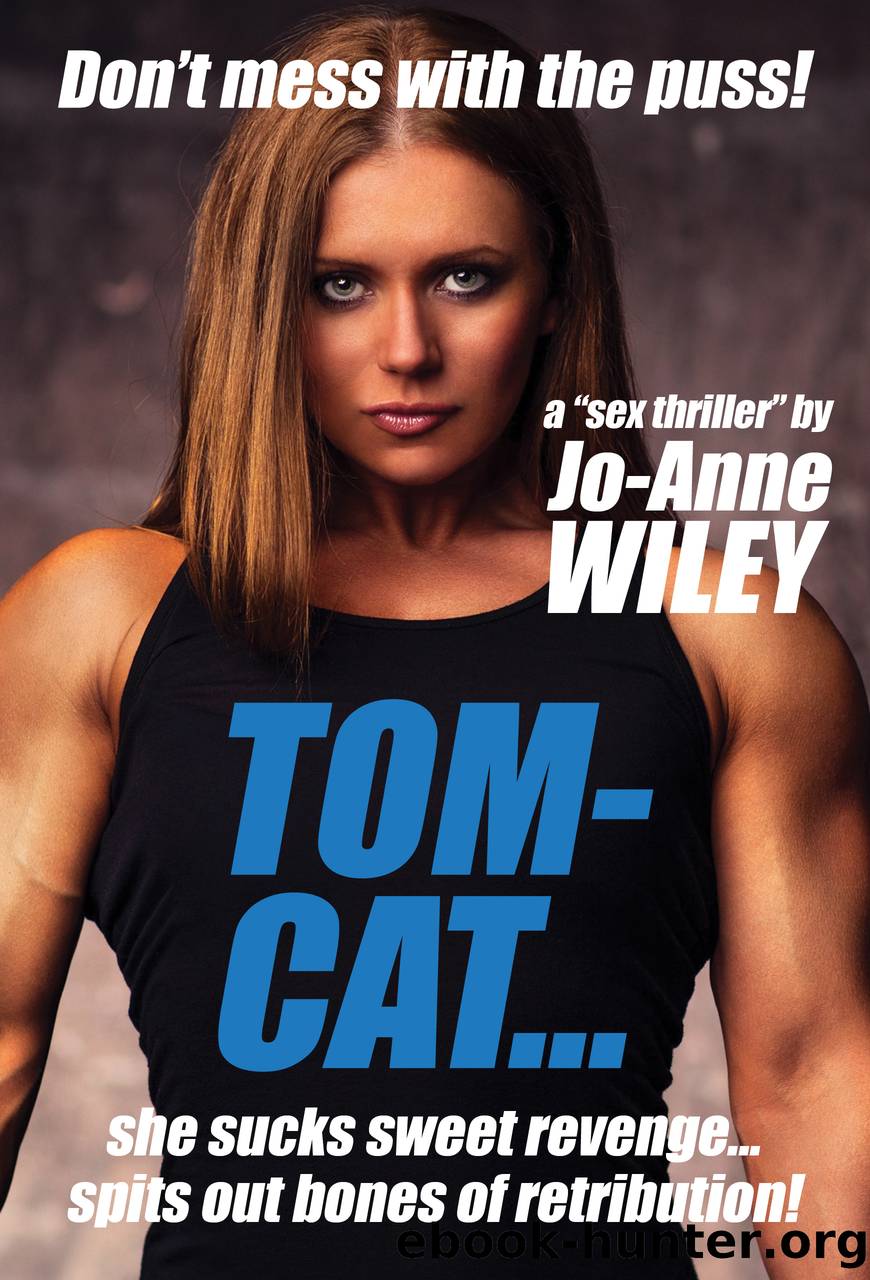 Tomcat by Jo-Anne Wiley