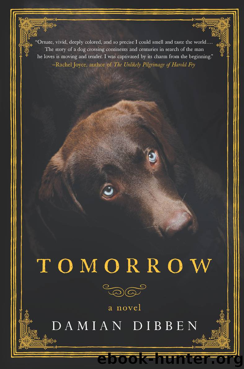 Tomorrow by Damian Dibben