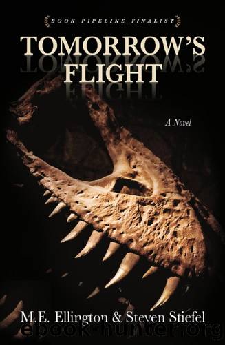 Tomorrow's Flight by M E Ellington & Steven Stiefel