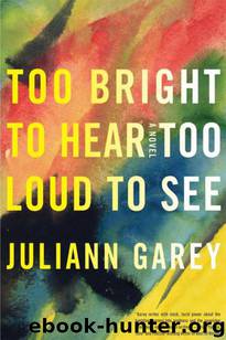 Too Bright to Hear Too Loud to See by Juliann Garey