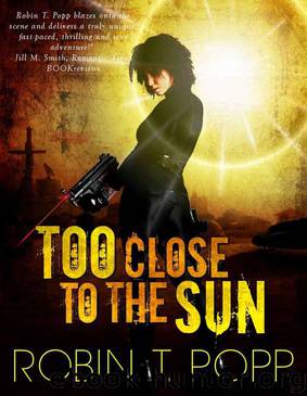Too Close to the Sun (The Sun 1) by Popp Robin T