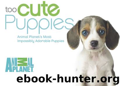 Too Cute Puppies by ANIMAL PLANET