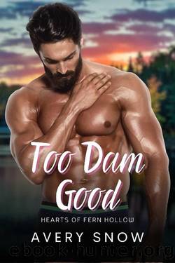 Too Dam Good: A Smalltown Romance (Hearts of Fern Hollow Book 5) by Avery Snow