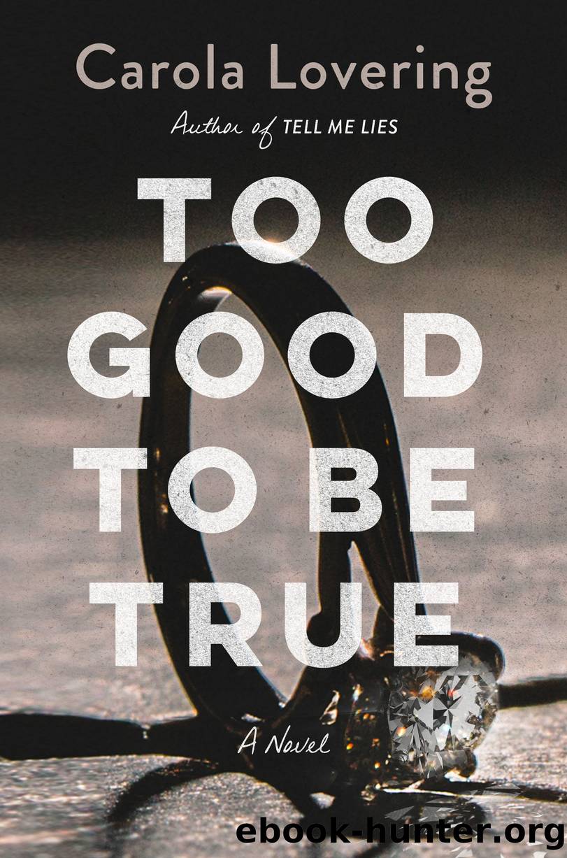 Too Good to Be True by Carola Lovering