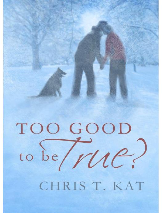 Too Good to Be True? by Kat Chris T