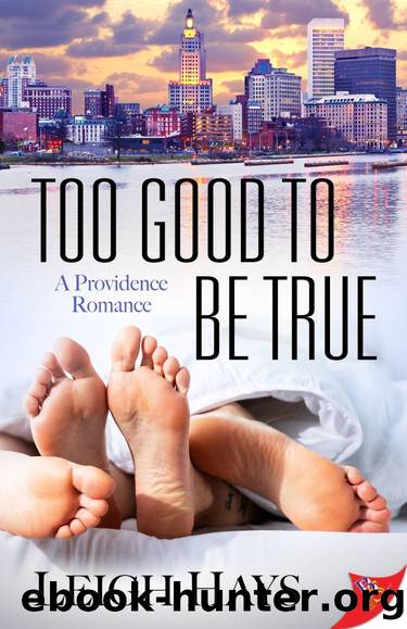 Too Good to be True by Leigh Hays