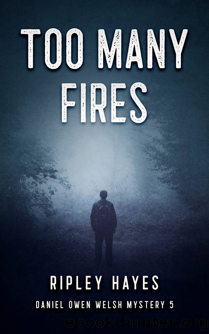 Too Many Fires: A Gay Mystery: Daniel Owen Welsh Mysteries 5 by Ripley Hayes