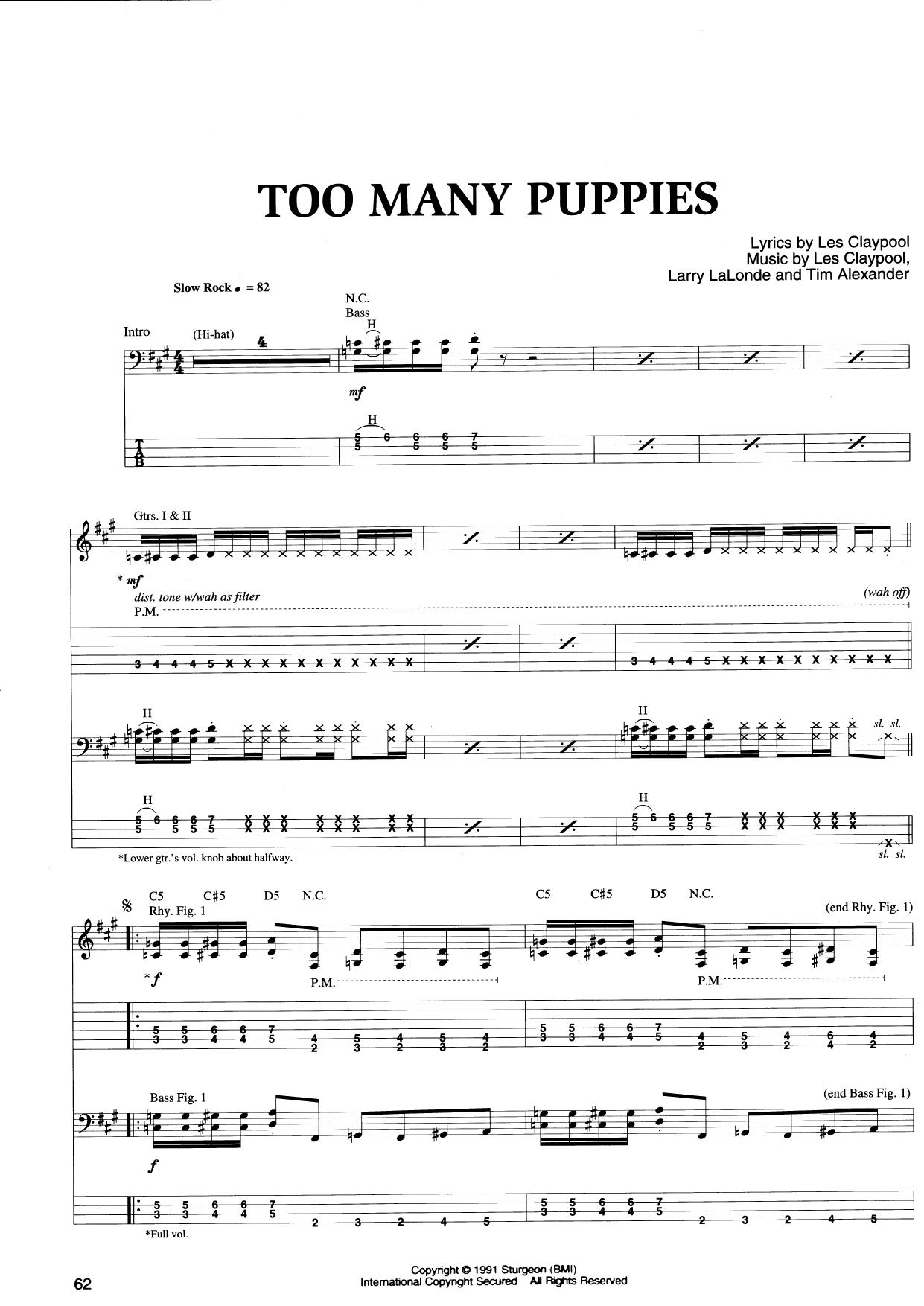 Too Many Puppies by Unknown