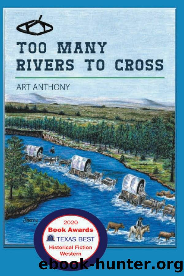 Too Many Rivers to Cross by Art D Anthony
