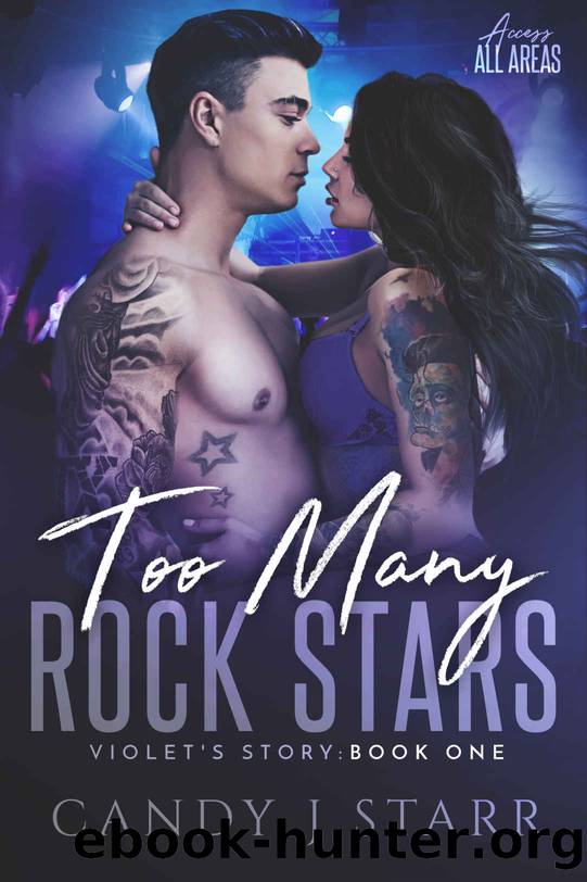 Too Many Rock Stars_Violet's Story by Candy J Starr