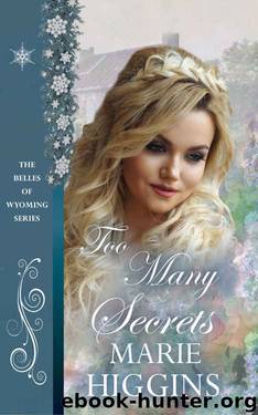 Too Many Secrets by Marie Higgins