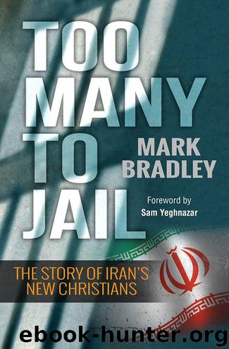 Too Many to Jail by Mark Bradley