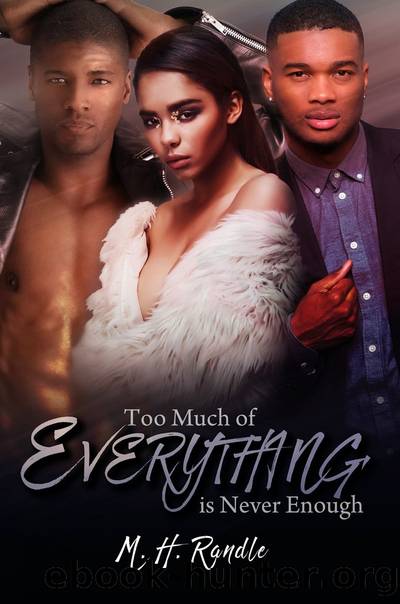 Too Much of Everything is Never Enough by M. H. Randle