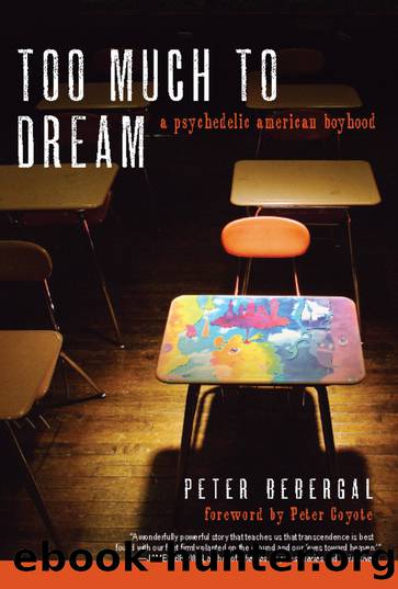Too Much to Dream by Peter Bebergal