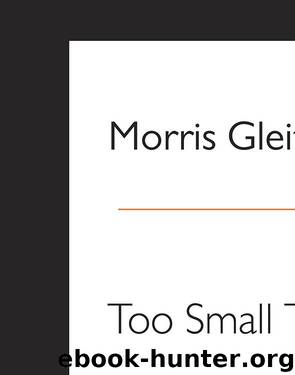 Too Small to Fail by Morris Gleitzman