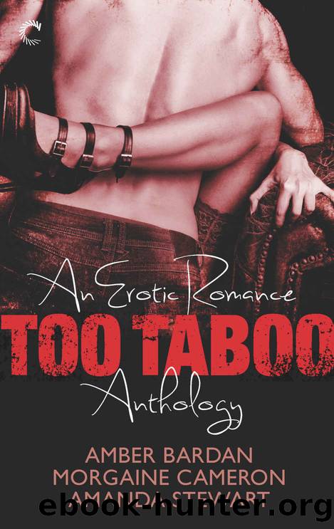 Too Taboo: An Erotic Romance Anthology: Absolve Me\Twice as Hard\Seduction Squad: Captured by Morgaine Cameron & Amber Bardan & Amanda Stewart