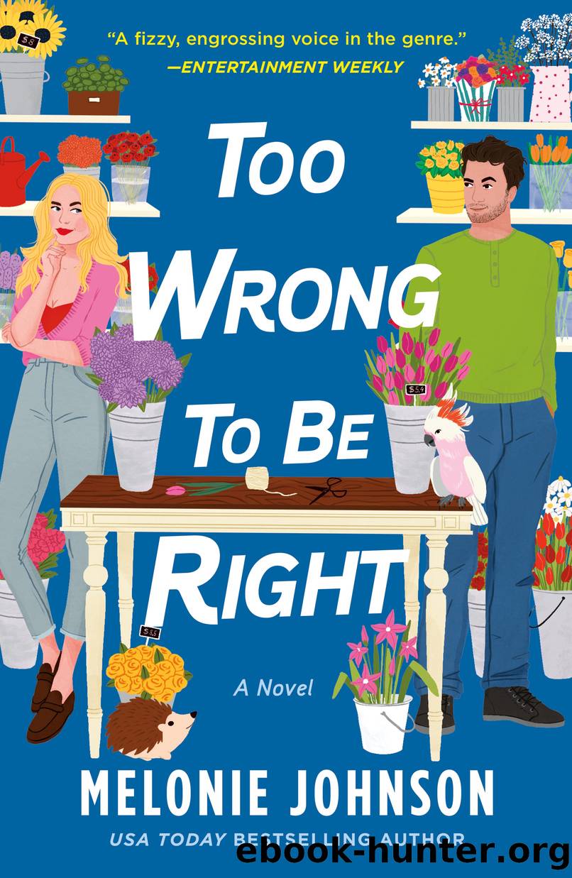 Too Wrong to Be Right by Melonie Johnson
