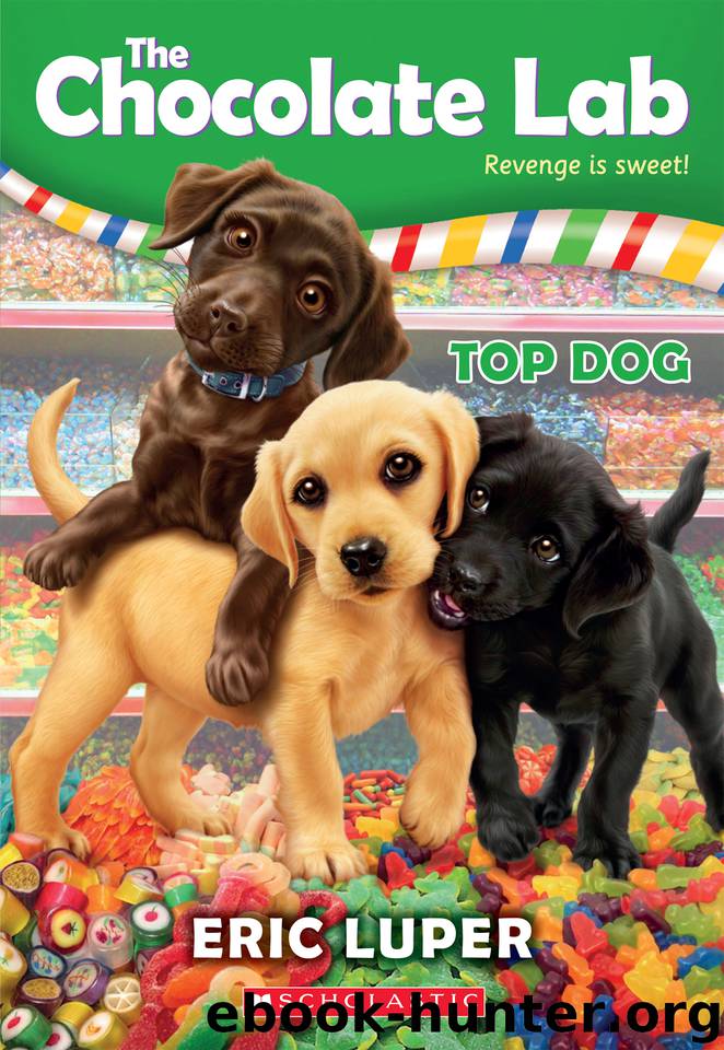 Top Dog by Eric Luper