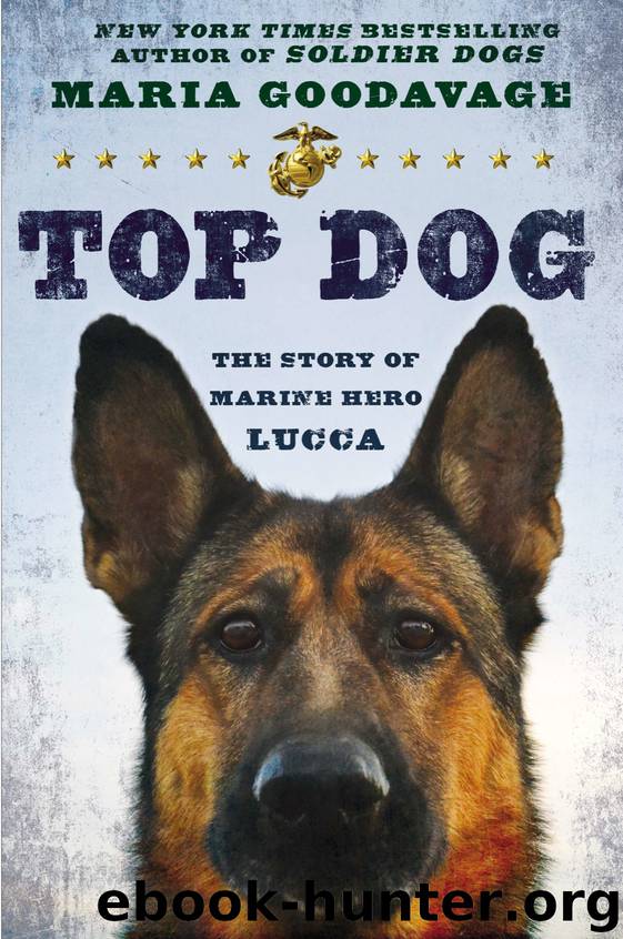 Top Dog: The Story of Marine Hero Lucca by Maria Goodavage