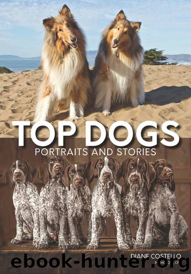 Top Dogs by Diane Costello