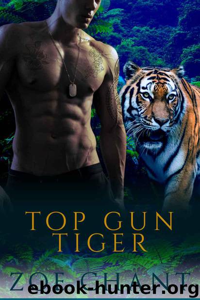 Top Gun Tiger (Protection, Inc. Book 7) by Chant Zoe