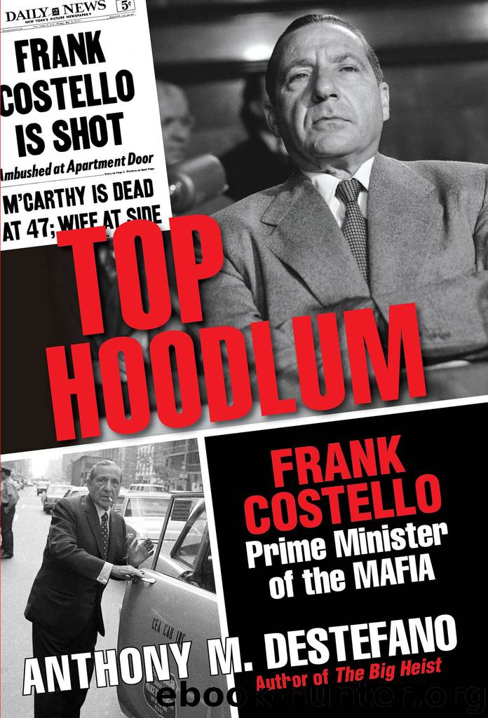Top Hoodlum by Anthony M. DeStefano